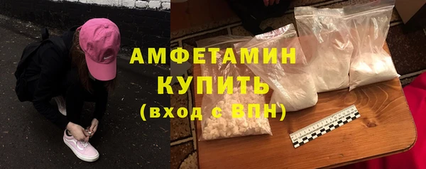 прущие грибы Медногорск