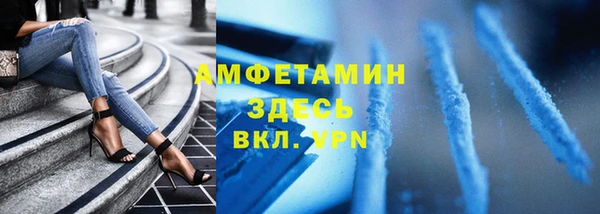 прущие грибы Медногорск