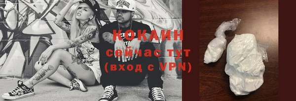 дживик Майский