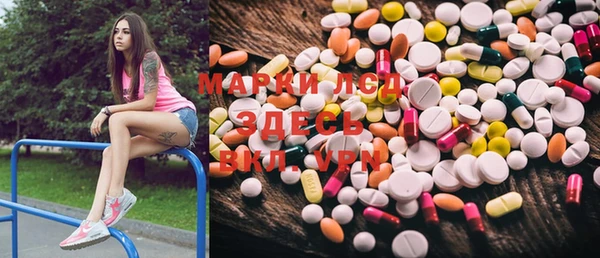 дживик Майский