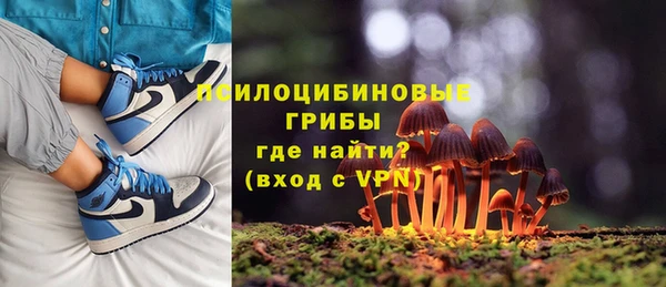 не бодяженный Мегион