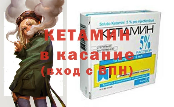 прущие грибы Медногорск