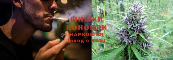 дживик Майский